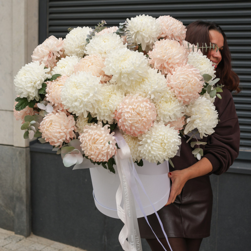 Огромная * коробка зефирных хризантем* 55 шт.