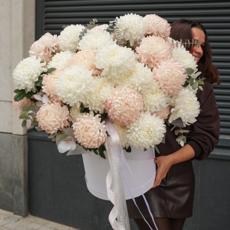 Огромная * коробка зефирных хризантем* 55 шт.