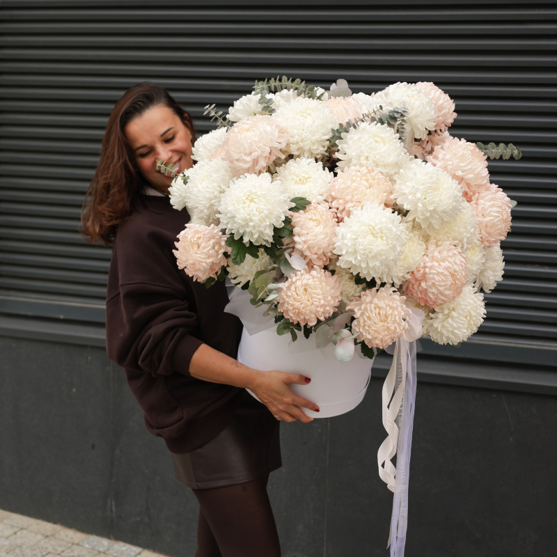 Огромная * коробка зефирных хризантем* 55 шт.