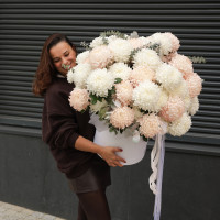 Огромная * коробка зефирных хризантем* 55 шт.