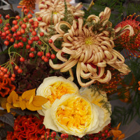 Авторский асимметричный букет с целозией, ягодами и леукоспермумом 