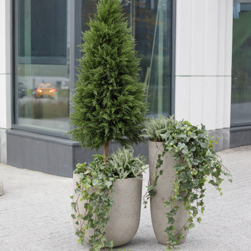 Сет из 2 композиций в высоких бетонных кашпо