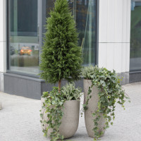 Сет из 2 композиций в высоких бетонных кашпо