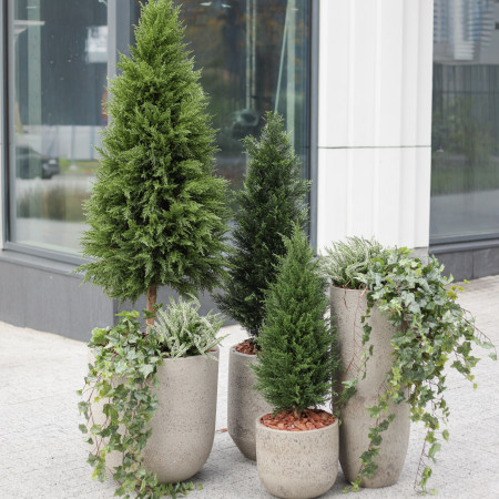 Сет из 4 композиций в разноуровневых бетонных кашпо