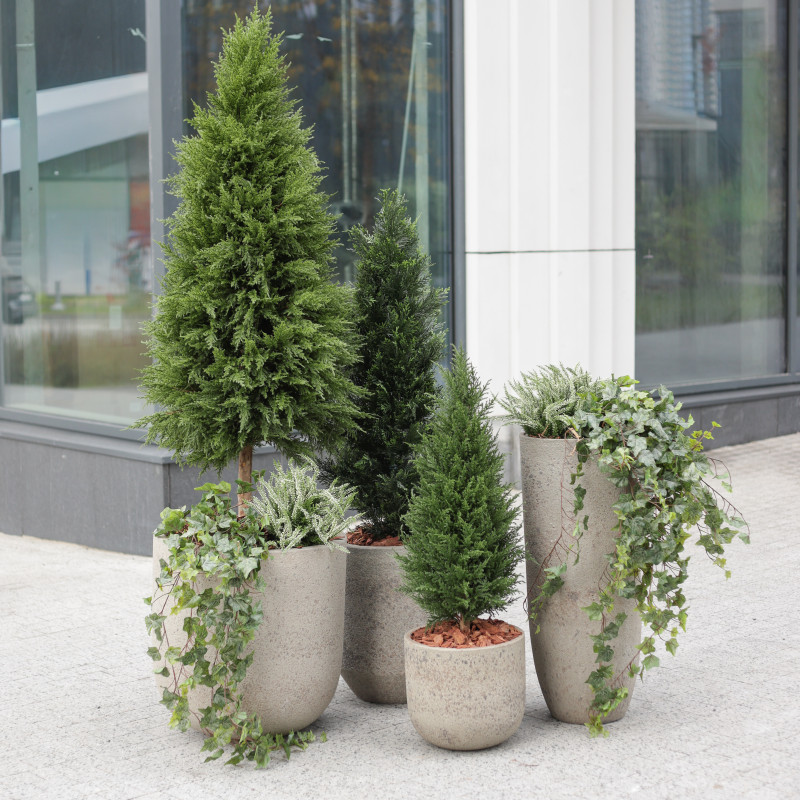 Сет из 4 композиций в разноуровневых бетонных кашпо