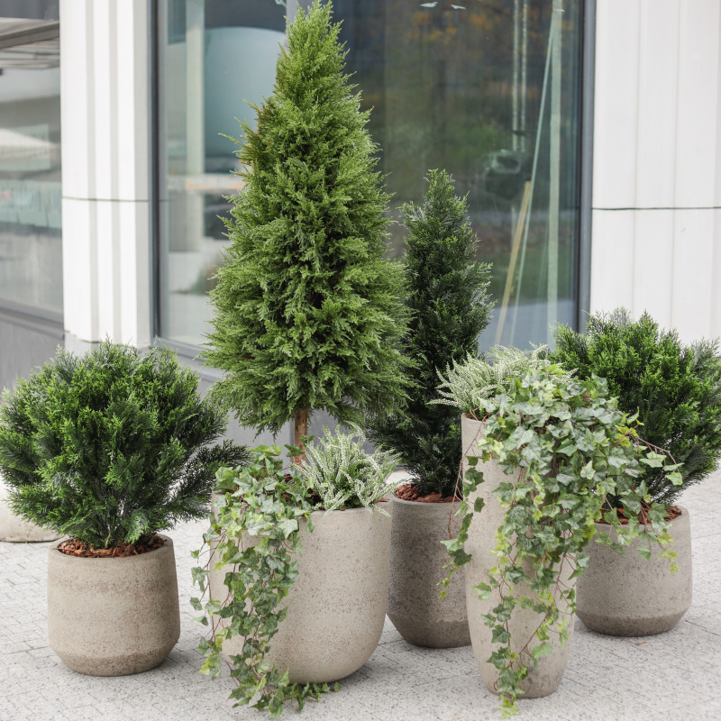 Сет из 6 композиций в разноуровневых бетонных кашпо