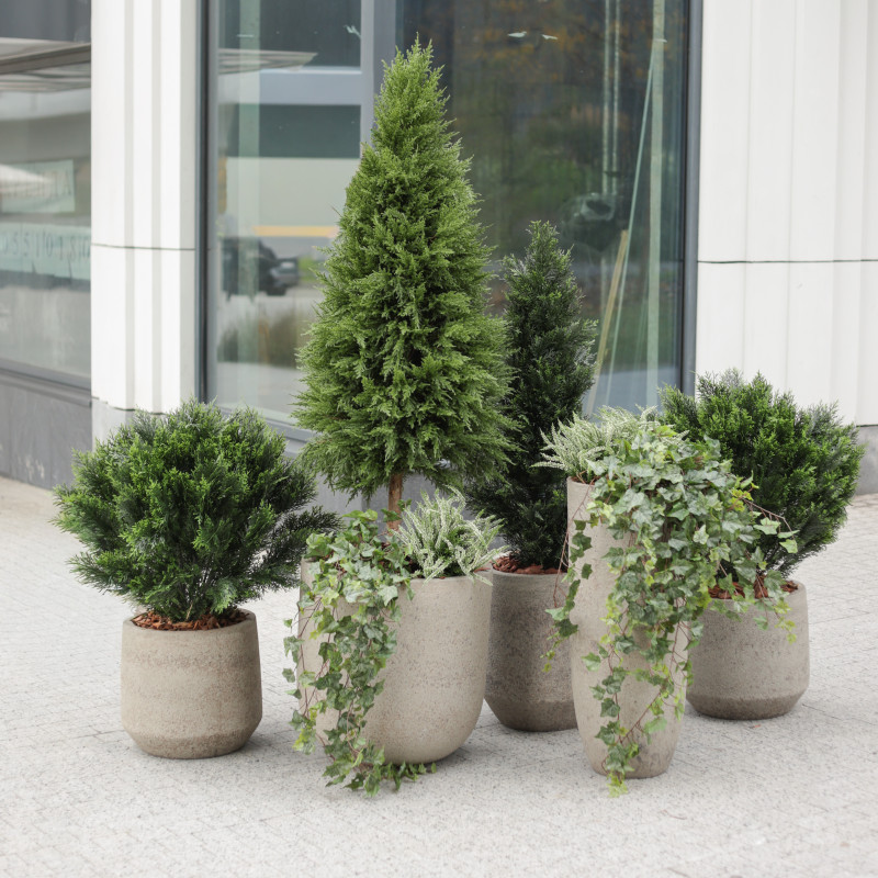 Сет из 6 композиций в разноуровневых бетонных кашпо