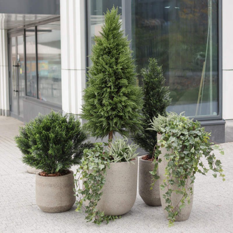 Сет из 6 композиций в разноуровневых бетонных кашпо