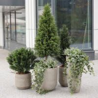 Сет из 6 композиций в разноуровневых бетонных кашпо