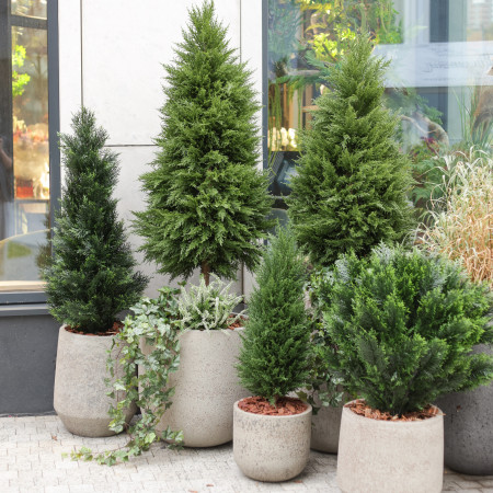 Сет из 5 композиций в бетонных разноуровневых кашпо с туями и декоративной зеленью