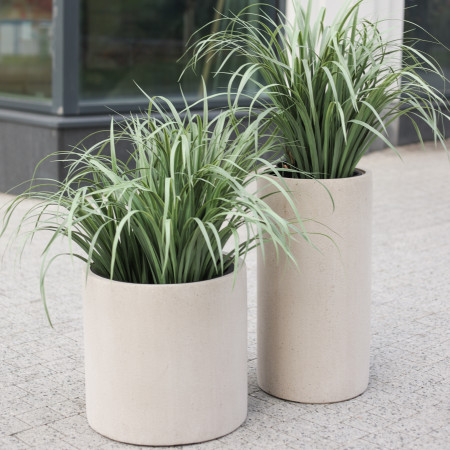 Сет композиций с высокой травой в цилиндрических бетонных кашпо