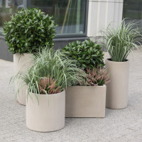 Сет из 5 композиций в бетонных графичных кашпо