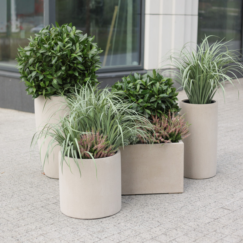 Сет из 5 композиций в бетонных графичных кашпо