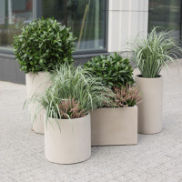 Сет из 5 композиций в бетонных графичных кашпо