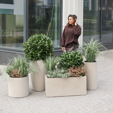 Сет из 5 композиций в бетонных графичных кашпо