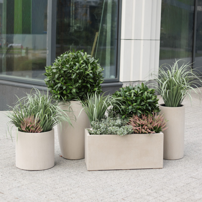 Сет из 5 композиций в бетонных графичных кашпо