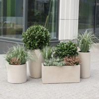 Сет из 5 композиций в бетонных графичных кашпо