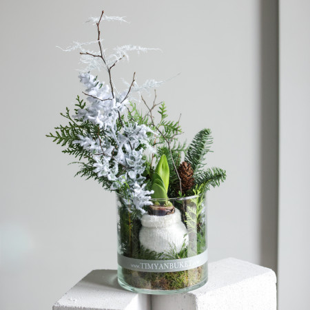 Зимняя композиция с луковичным амариллисом в стекле