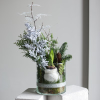 Зимняя композиция с луковичным амариллисом в стекле