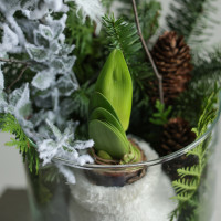 Зимняя композиция с луковичным амариллисом в стекле