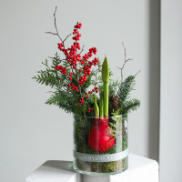 Зимняя композиция с луковичным амариллисом в стекле (красный)