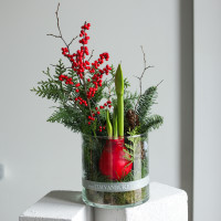 Зимняя композиция с луковичным амариллисом в стекле (красный)