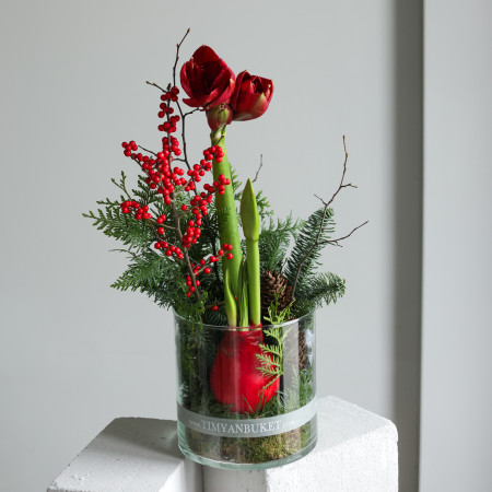 Зимняя композиция с луковичным амариллисом в стекле (красный)