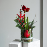 Зимняя композиция с луковичным амариллисом в стекле (красный)