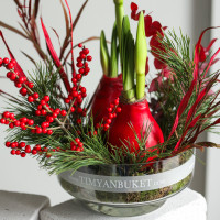 Зимняя композиция в прозрачной стеклянной низкой вазе с двумя луковичными амариллисами