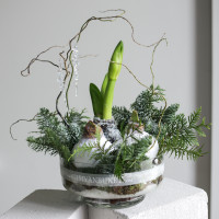 Зимняя композиция с тремя луковичными амариллисами