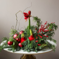 Зимняя композиция на металлическом подносе с амариллисами