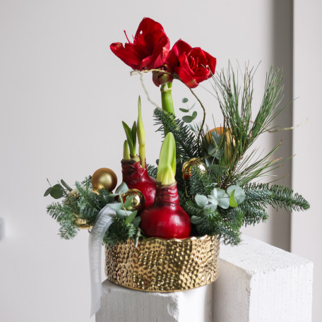 Зимняя композиция в золотом кашпо с амариллисами