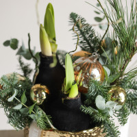 Стильная композиция в золотом кашпо с амариллисами в чёрном воске