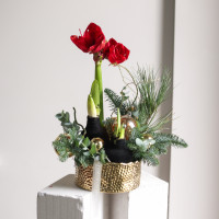 Стильная композиция в золотом кашпо с амариллисами в чёрном воске