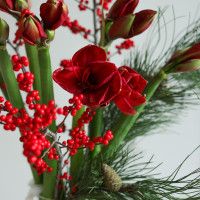 Зимний букет с амариллисами в вазу