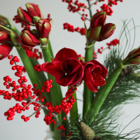 Зимний букет с амариллисами в вазу