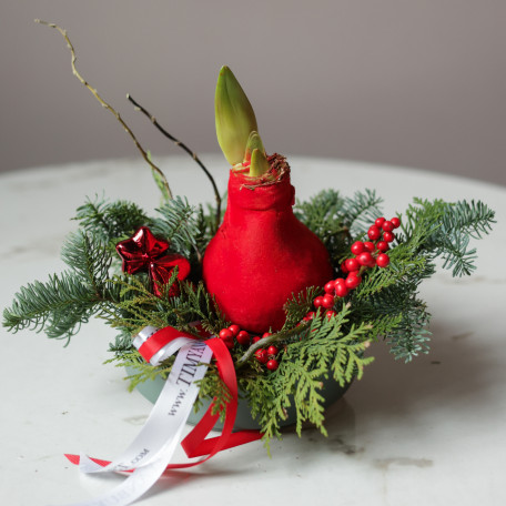 Композиция в низком кашпо с луковичным амариллисом в красном воске