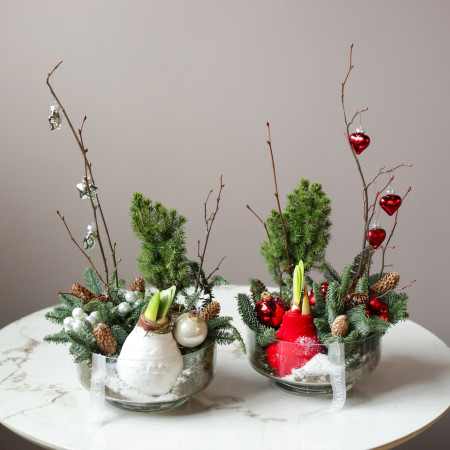 Амариллис (в асс.) в стекле с хвоей