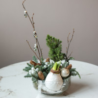 Амариллис (в асс.) в стекле с хвоей