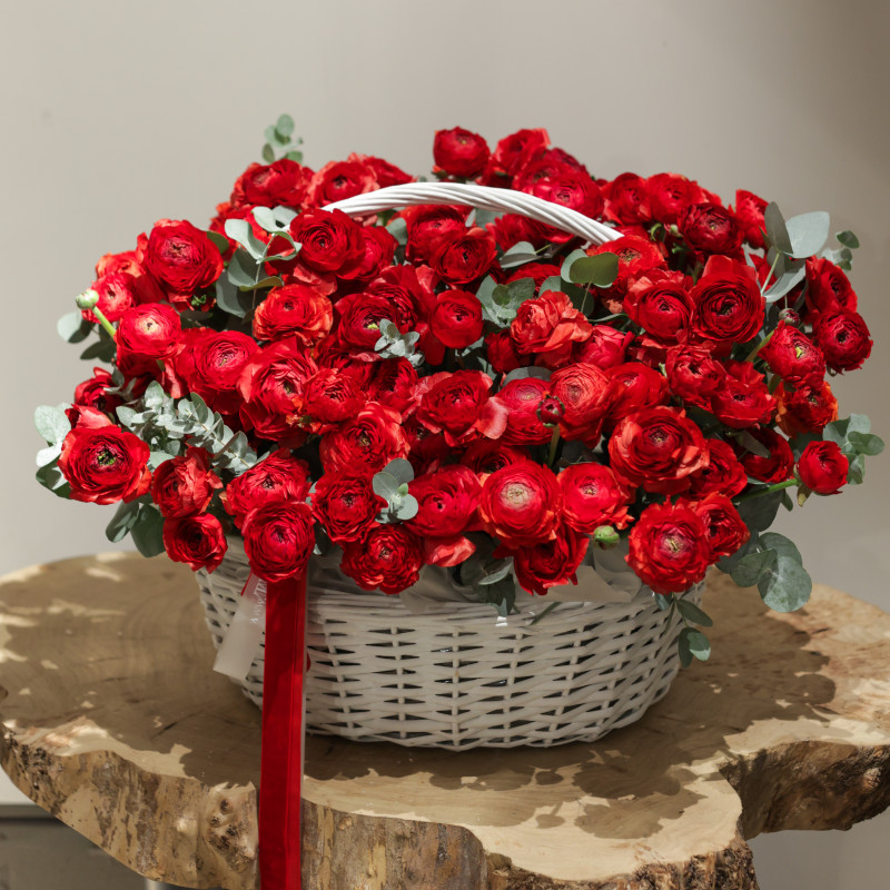 Эксклюзивная вау-композиция из 105 красных ранункулюсов в корзине