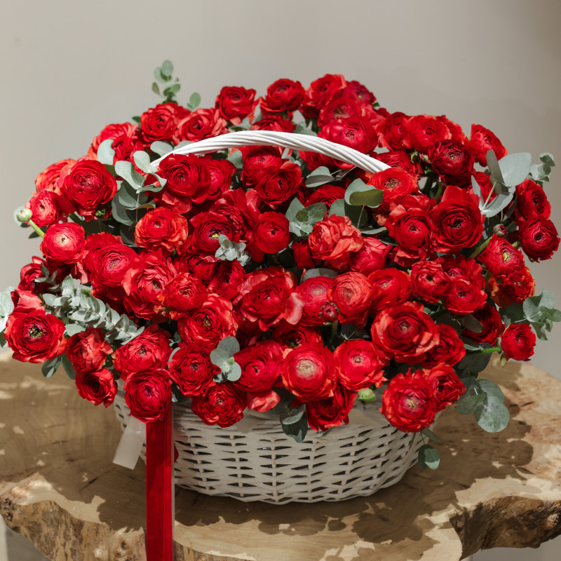Эксклюзивная вау-композиция из 105 красных ранункулюсов в корзине