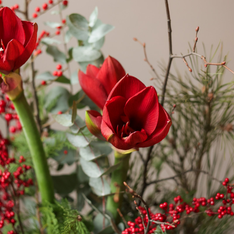 Зимний букет с амариллисами и хвоей в фактурной вазе