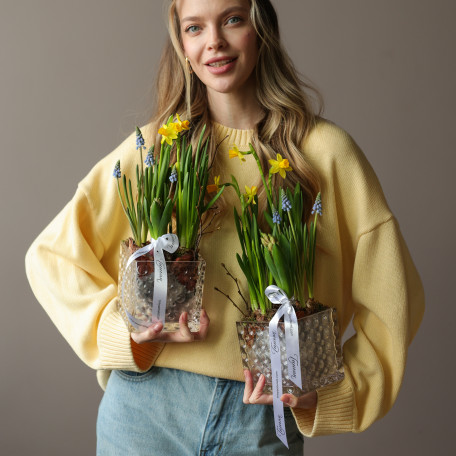 Весенний садик с нарциссами, мускари и гиацинтом 15х25см