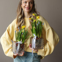 Весенний садик с нарциссами, мускари и гиацинтом 15х25см