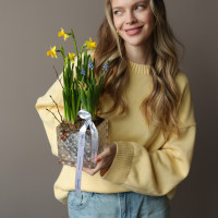 Весенний садик с нарциссами, мускари и гиацинтом 15х25см
