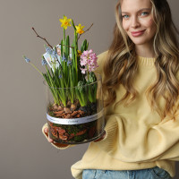 Весенний садик с гиацинтами, нарциссами и мускари в стеклянном цилиндре 20х30см