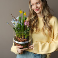 Весенний садик с гиацинтами, нарциссами и мускари в стеклянном цилиндре 20х30см