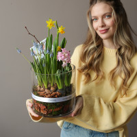 Весенний садик с гиацинтами, нарциссами и мускари в стеклянном цилиндре 20х30см