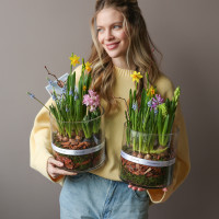 Весенний садик с гиацинтами, нарциссами и мускари в стеклянном цилиндре 20х30см