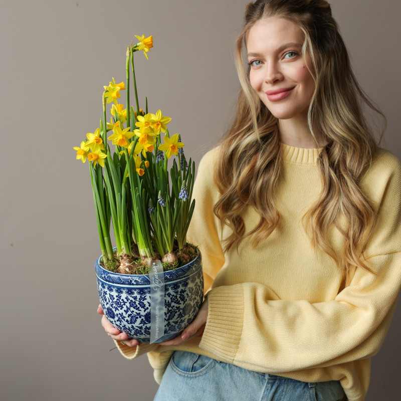 Весенний садик с нарциссами и мускари в китайском вазоне 19х40см